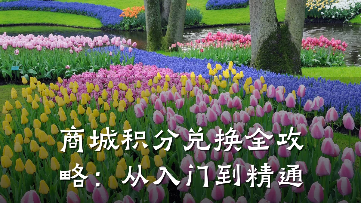 商城积分兑换全攻略:从入门到精通