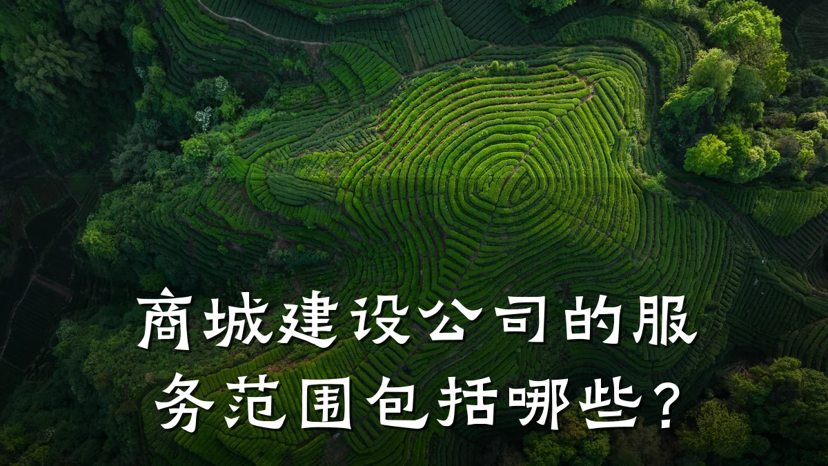 商城建设公司的服务范围包括哪些？