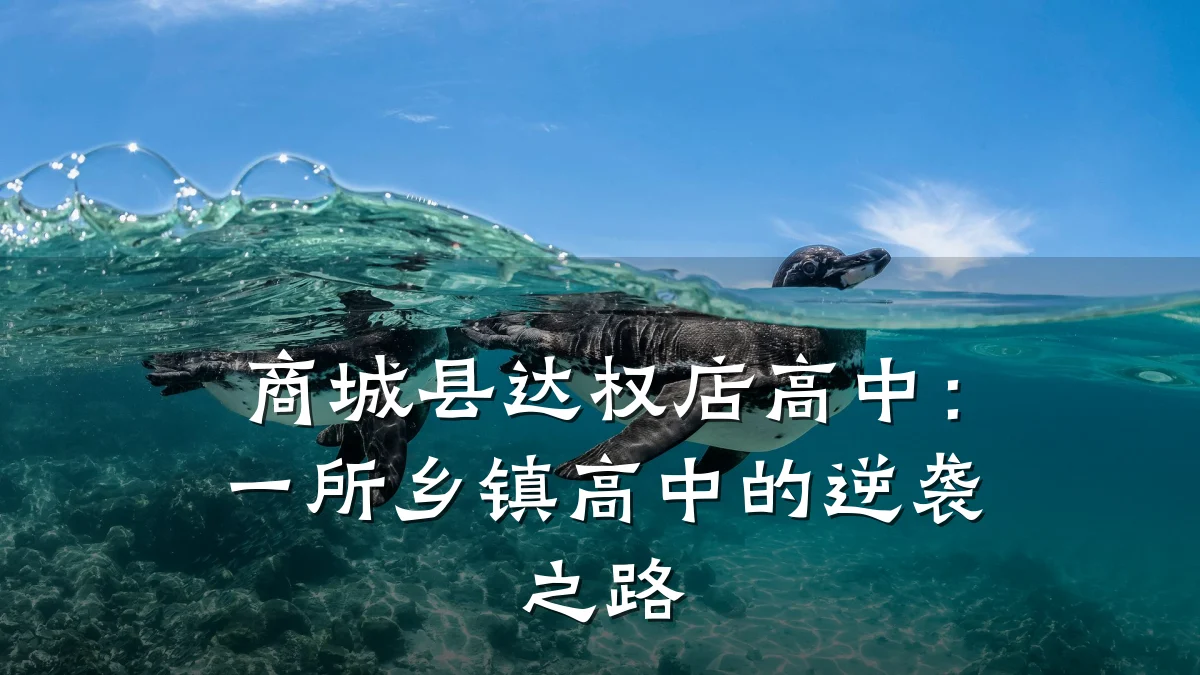 商城县达权店高中:一所乡镇高中的逆袭之路