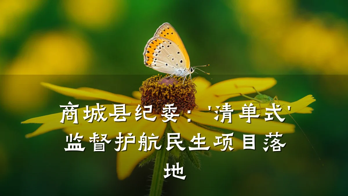 商城县纪委:'清单式'监督护航民生项目落地