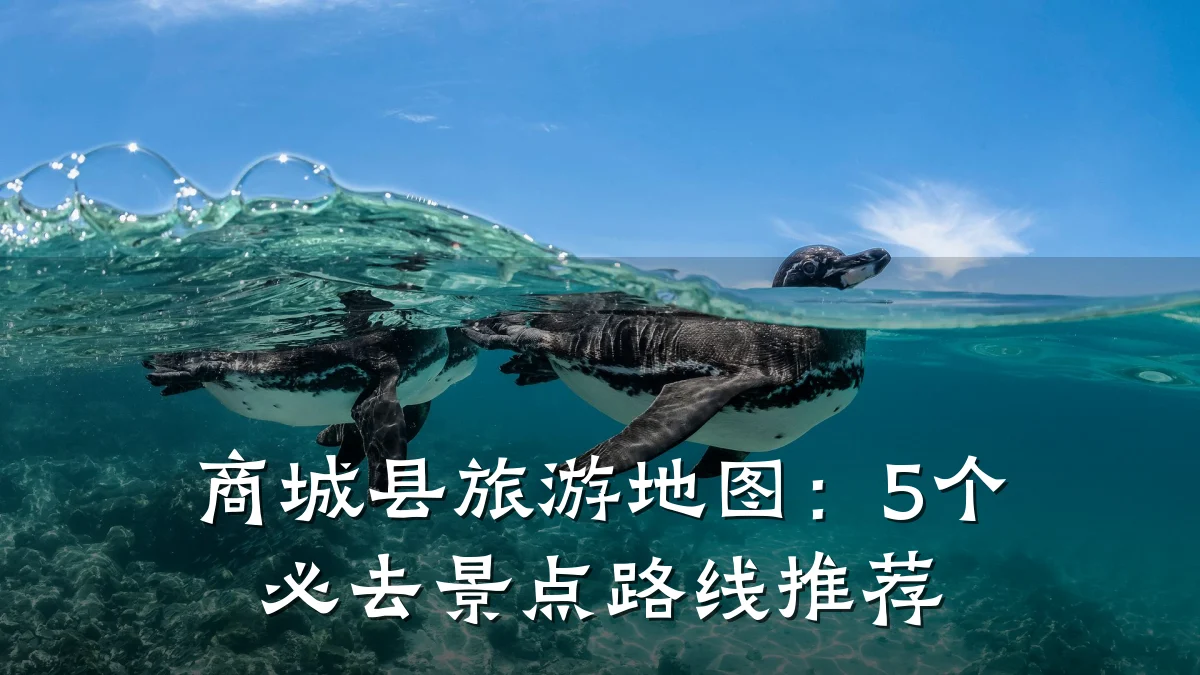 商城县旅游地图:5个必去景点路线推荐