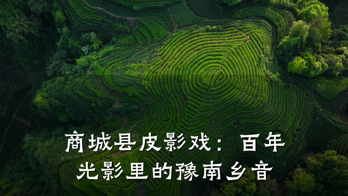 商城县皮影戏:百年光影里的豫南乡音