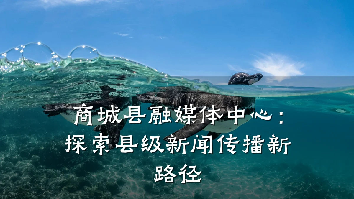 商城县融媒体中心:探索县级新闻传播新路径
