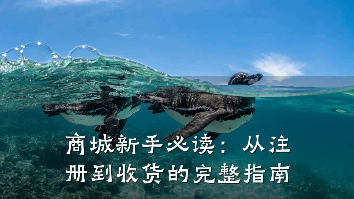 商城新手必读:从注册到收货的完整指南
