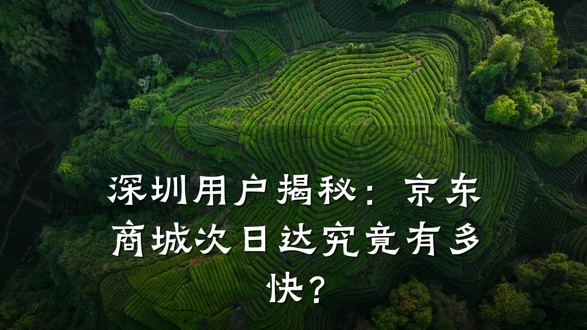 深圳用户揭秘:京东商城次日达究竟有多快?