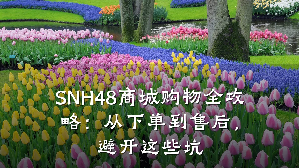 SNH48商城购物全攻略：从下单到售后，避开这些坑
