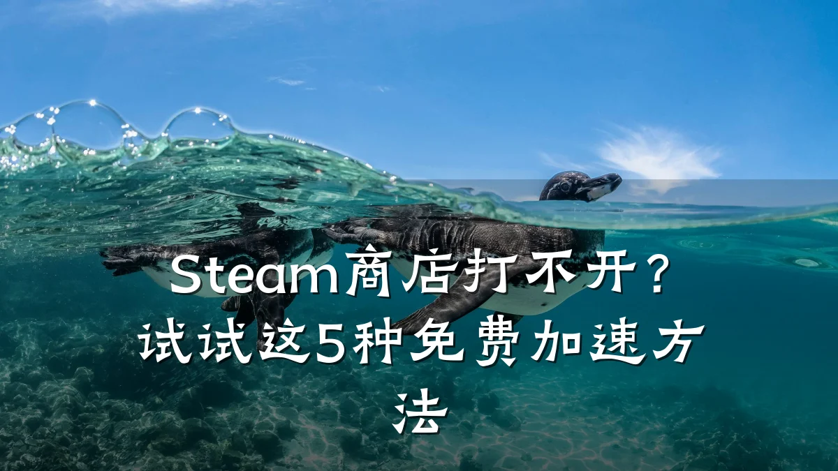 Steam商店打不开?试试这5种免费加速方法