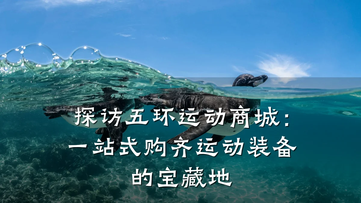 探访五环运动商城:一站式购齐运动装备的宝藏地