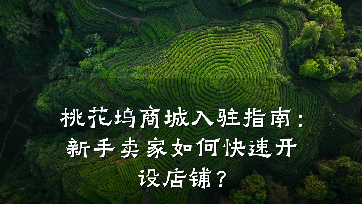 桃花坞商城入驻指南:新手卖家如何快速开设店铺?