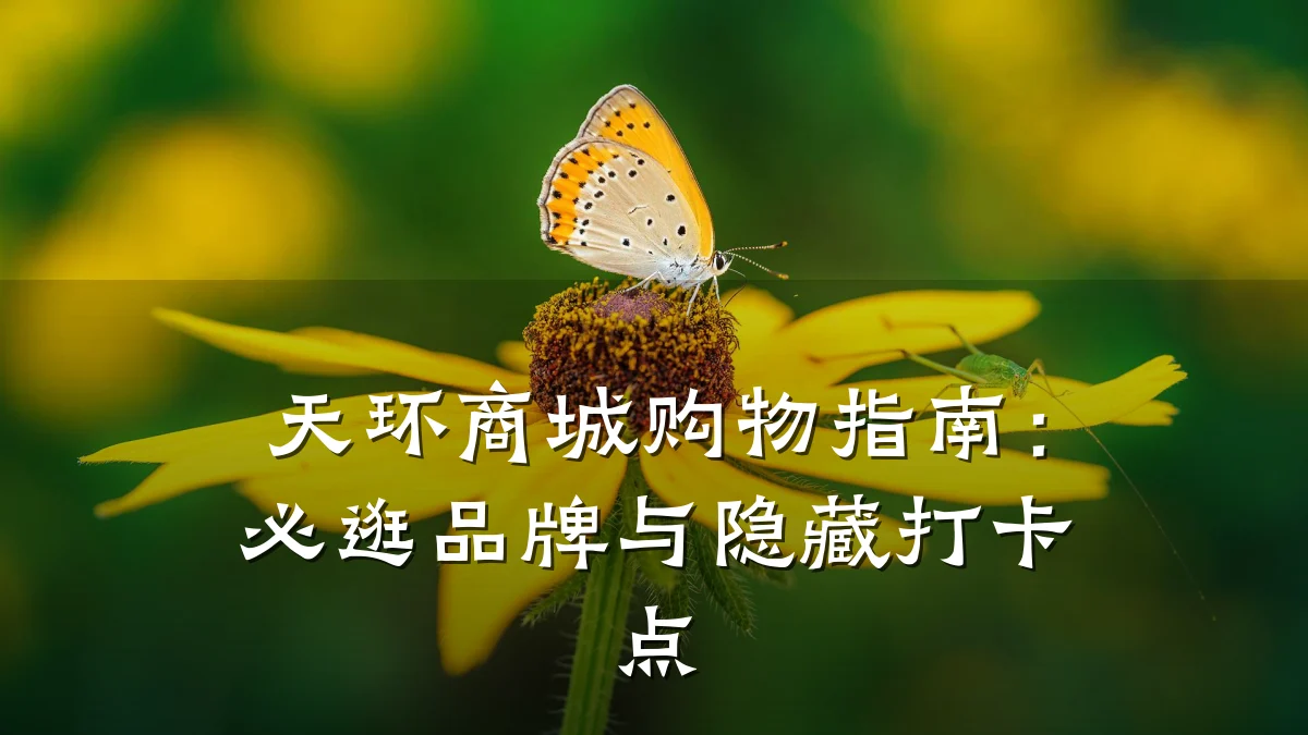 天环商城购物指南:必逛品牌与隐藏打卡点