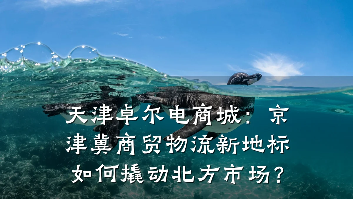 天津卓尔电商城:京津冀商贸物流新地标如何撬动北方市场?