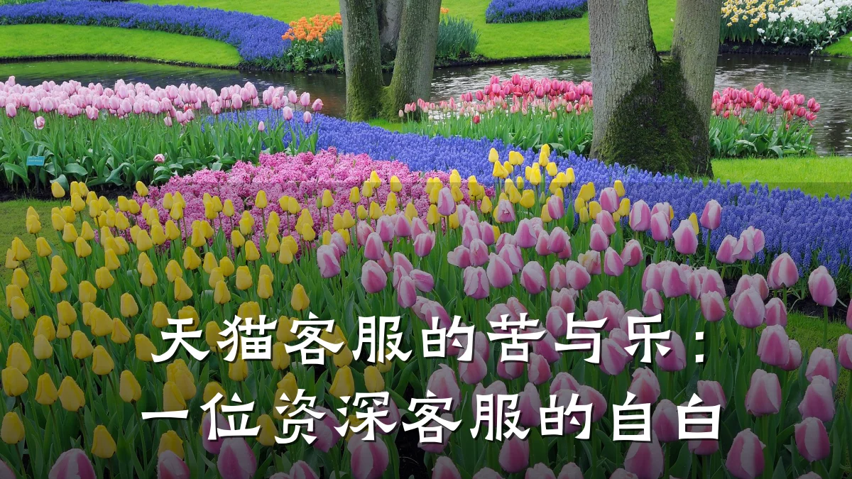 天猫客服的苦与乐:一位资深客服的自白