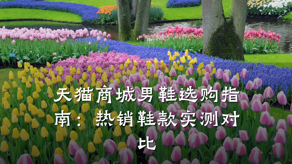 天猫商城男鞋选购指南:热销鞋款实测对比