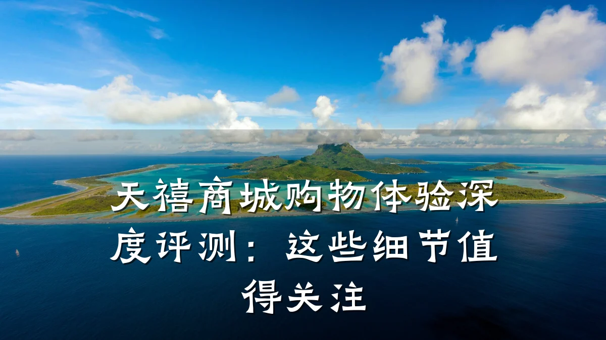 天禧商城购物体验深度评测:这些细节值得关注