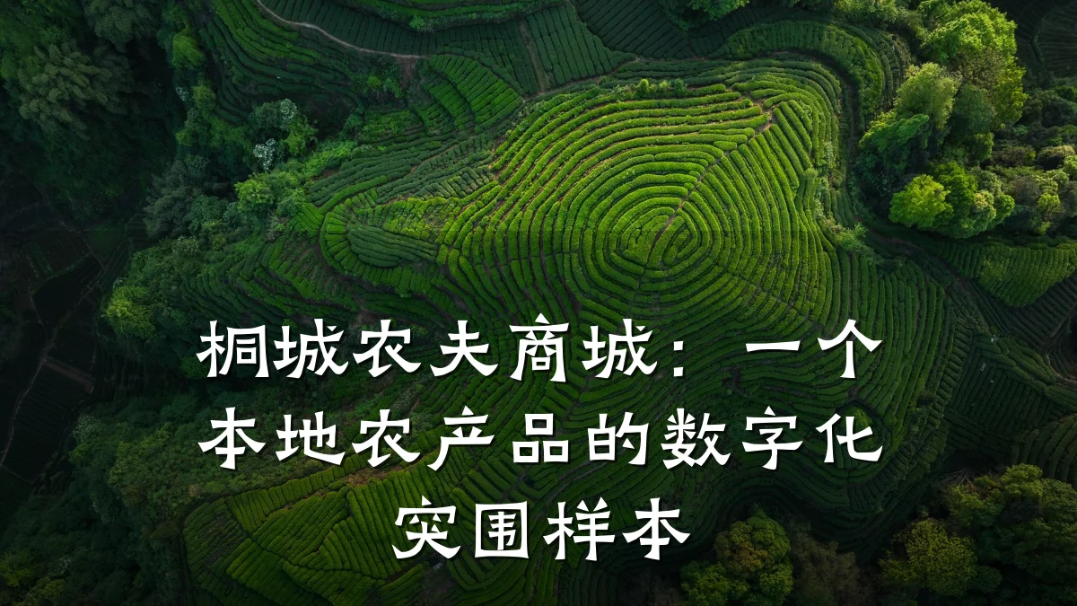 桐城农夫商城:一个本地农产品的数字化突围样本
