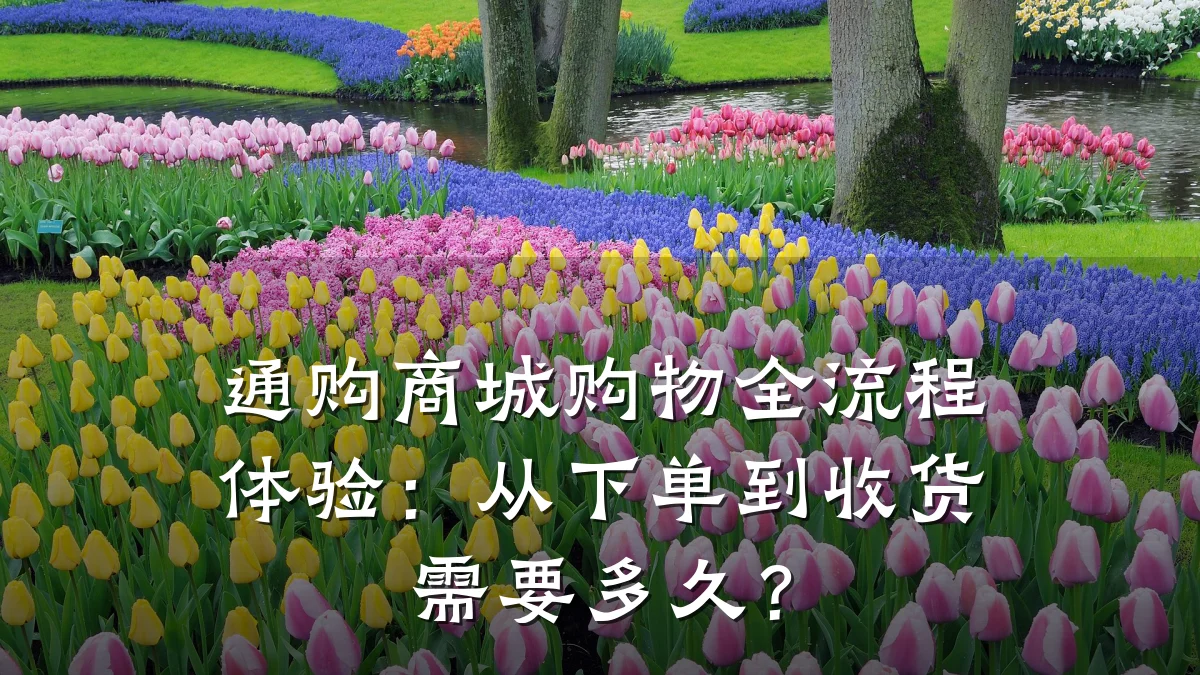 通购商城购物全流程体验:从下单到收货需要多久?