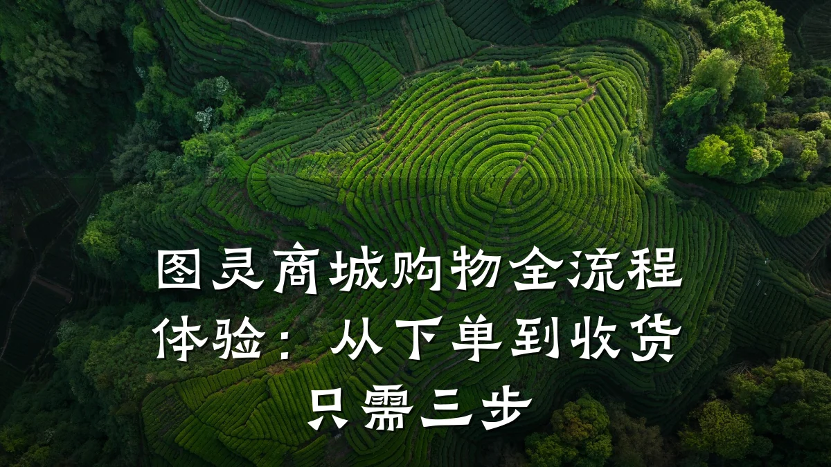 图灵商城购物全流程体验:从下单到收货只需三步