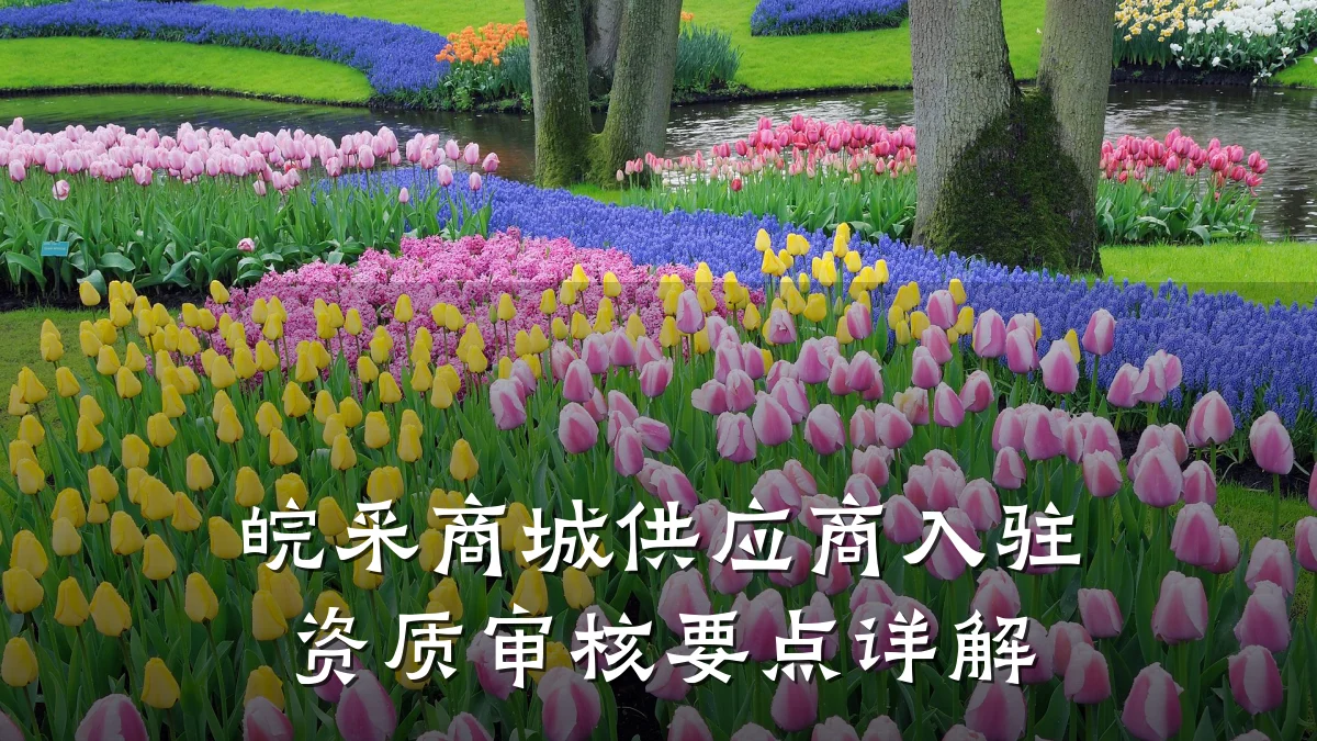 皖采商城供应商入驻资质审核要点详解