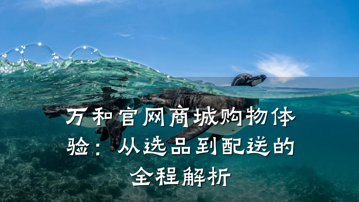 万和官网商城购物体验:从选品到配送的全程解析