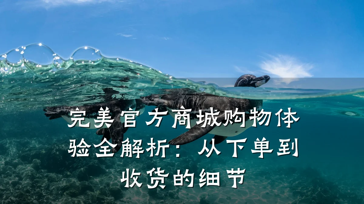 完美官方商城购物体验全解析:从下单到收货的细节
