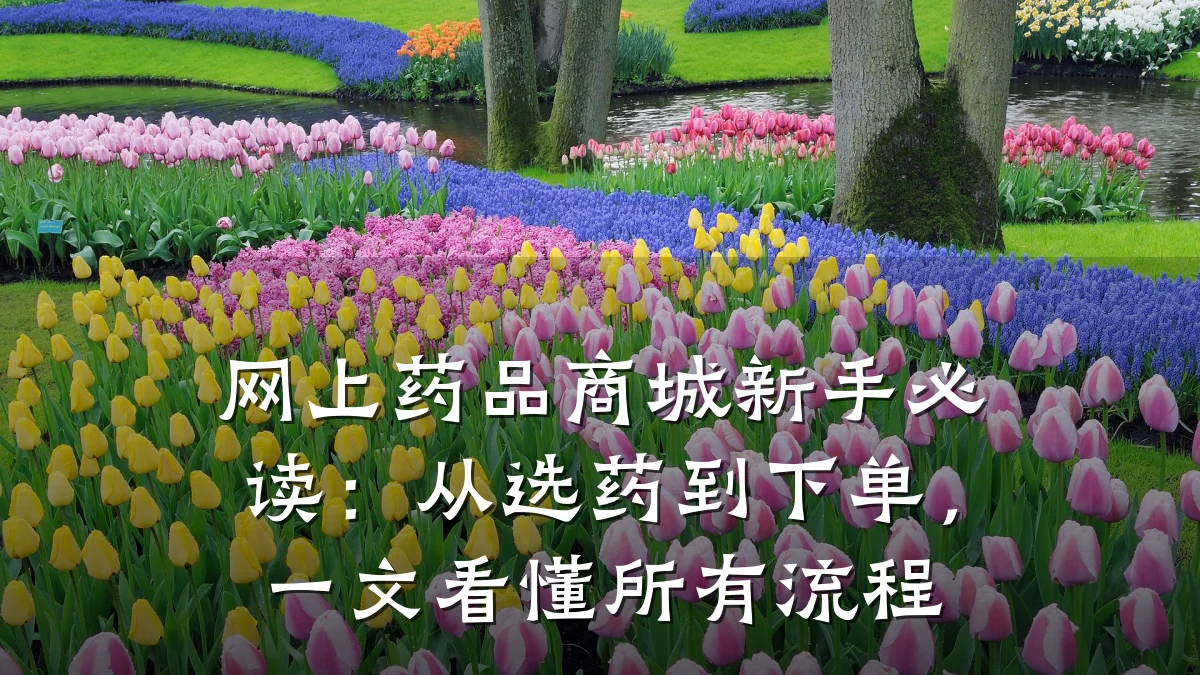网上药品商城新手必读:从选药到下单,一文看懂所有流程