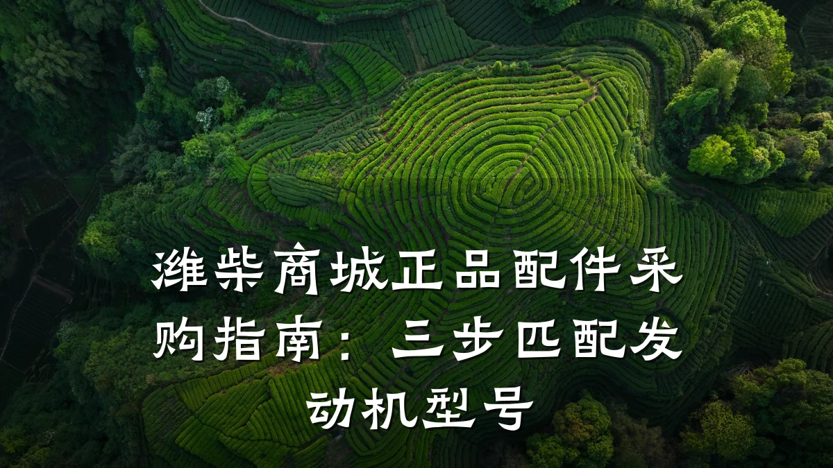 潍柴商城正品配件采购指南:三步匹配发动机型号