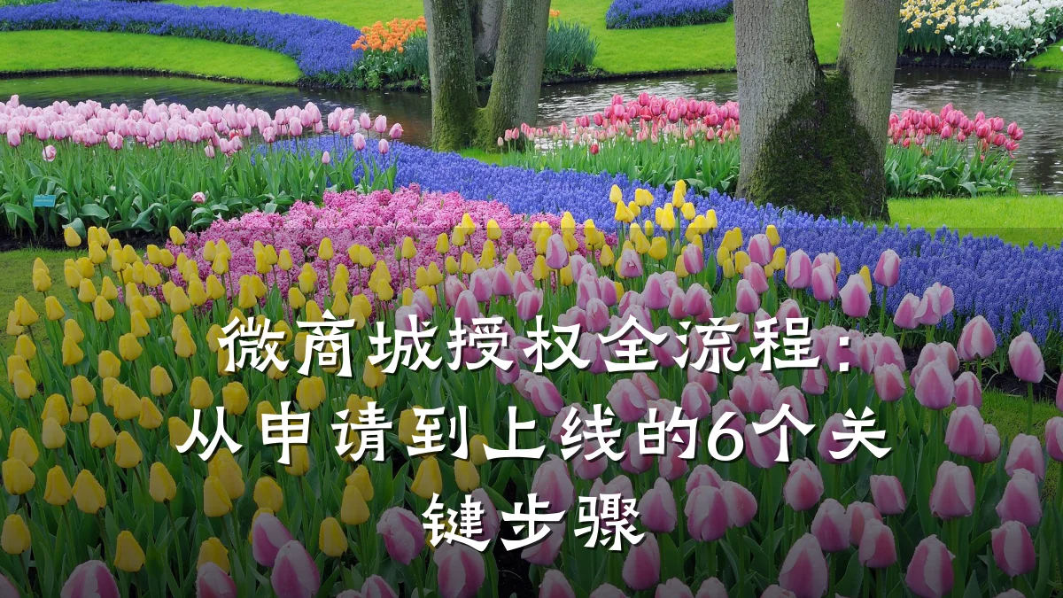 微商城授权全流程:从申请到上线的6个关键步骤
