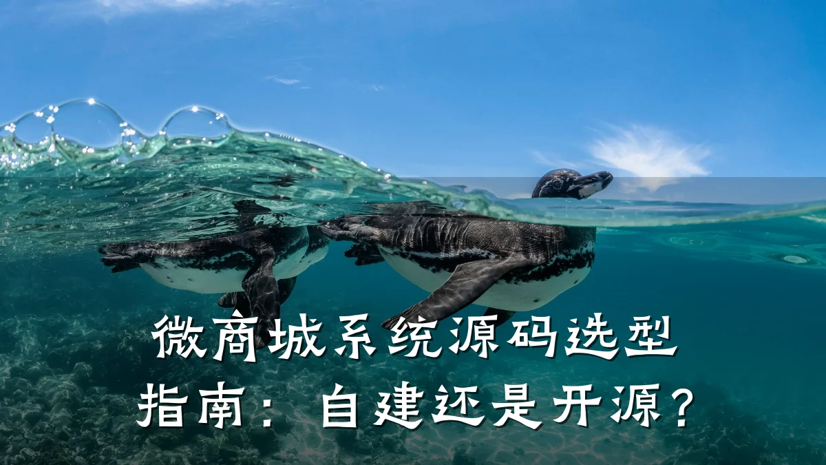 微商城系统源码选型指南:自建还是开源?