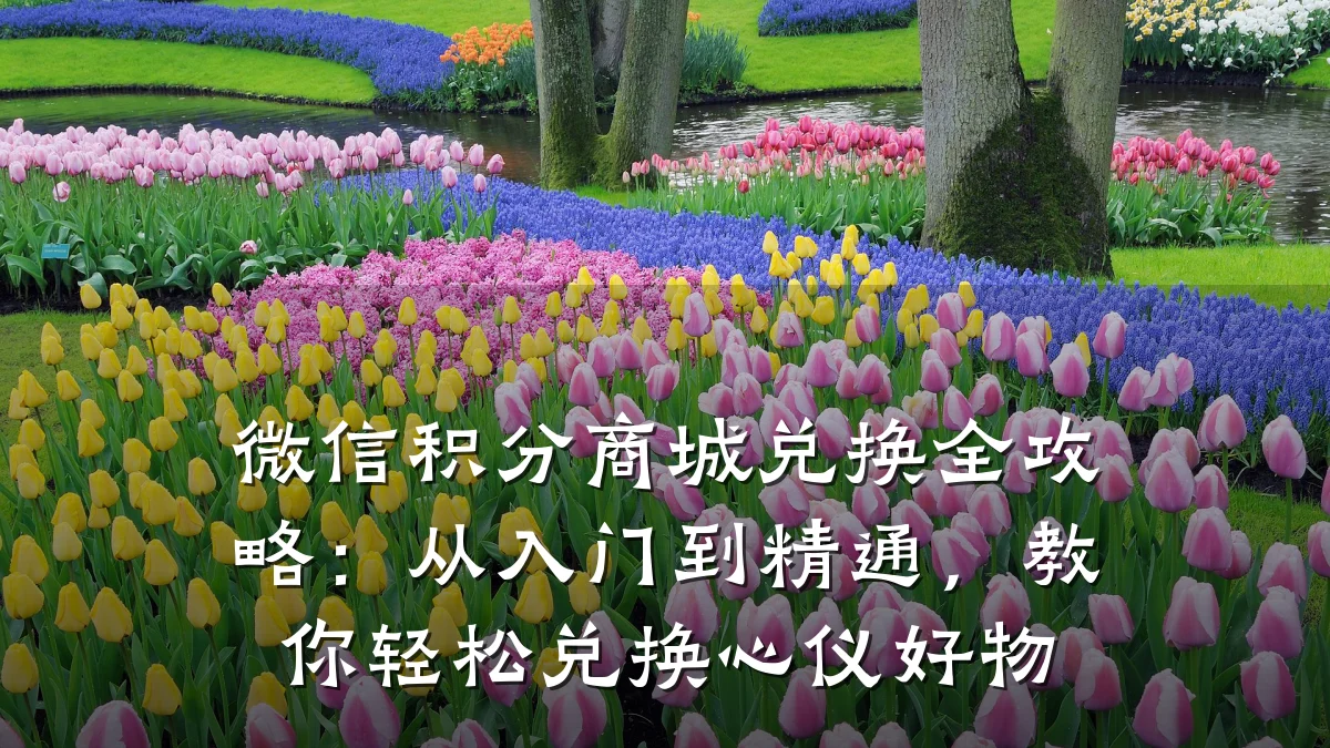 微信积分商城兑换全攻略:从入门到精通,教你轻松兑换心仪好物