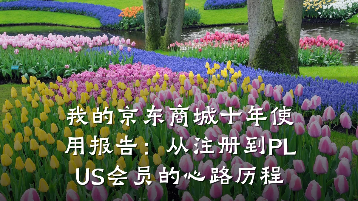 我的京东商城十年使用报告:从注册到PLUS会员的心路历程