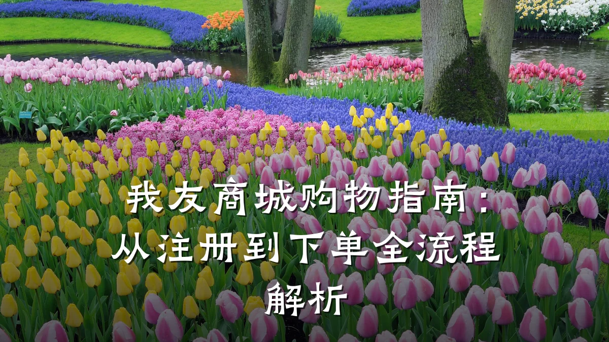 我友商城购物指南:从注册到下单全流程解析