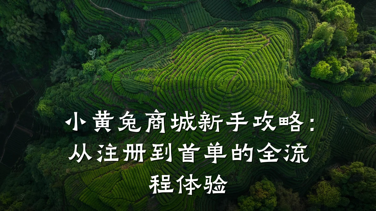 小黄兔商城新手攻略:从注册到首单的全流程体验