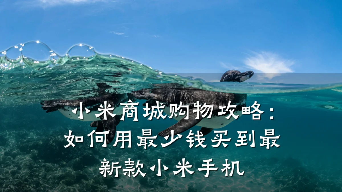 小米商城购物攻略:如何用最少钱买到最新款小米手机