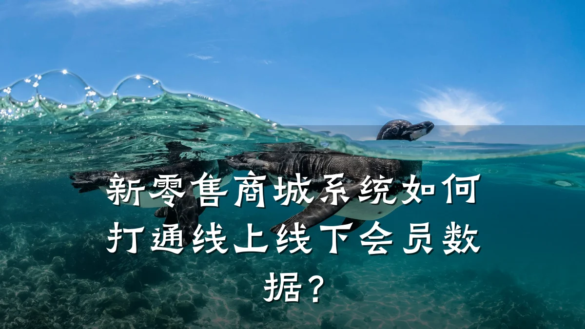 新零售商城系统如何打通线上线下会员数据?