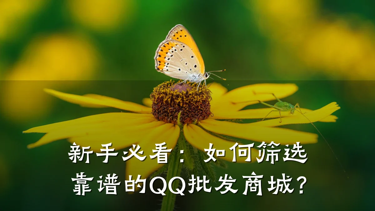 新手必看:如何筛选靠谱的QQ批发商城?