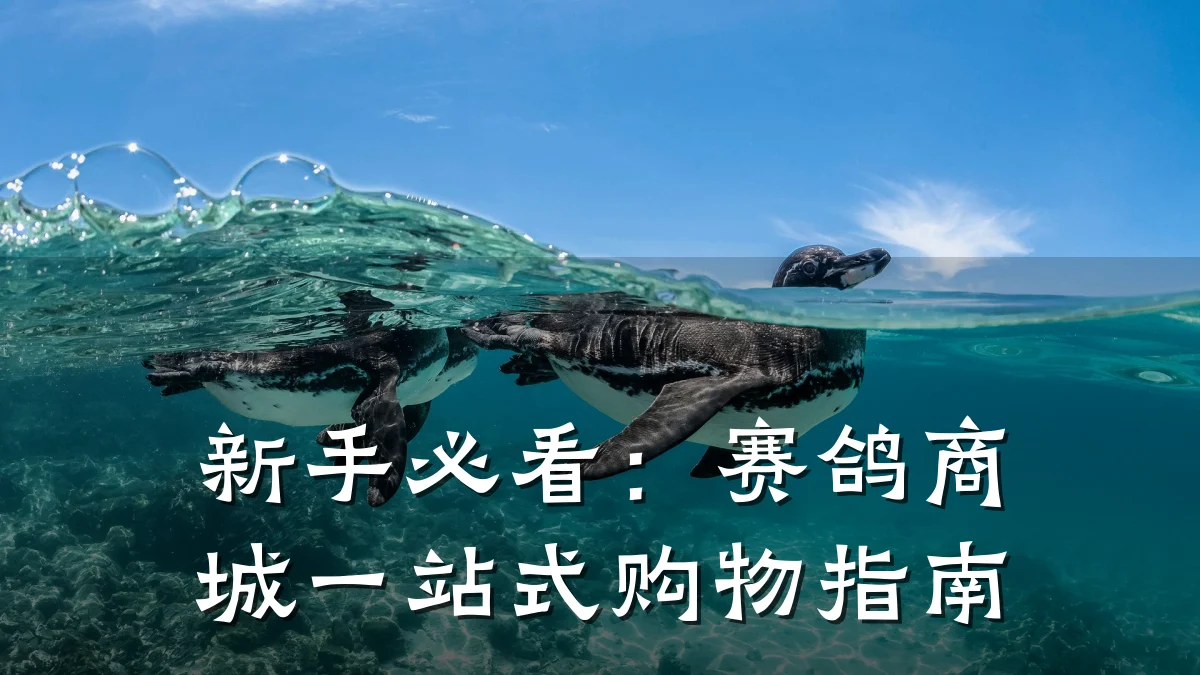 新手必看:赛鸽商城一站式购物指南