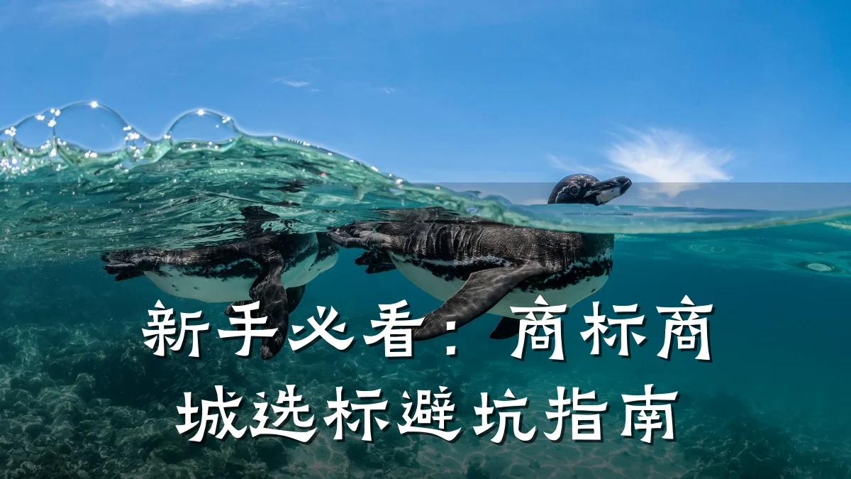 新手必看:商标商城选标避坑指南