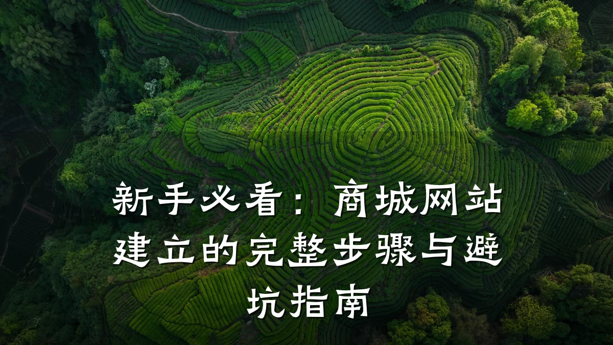 新手必看:商城网站建立的完整步骤与避坑指南