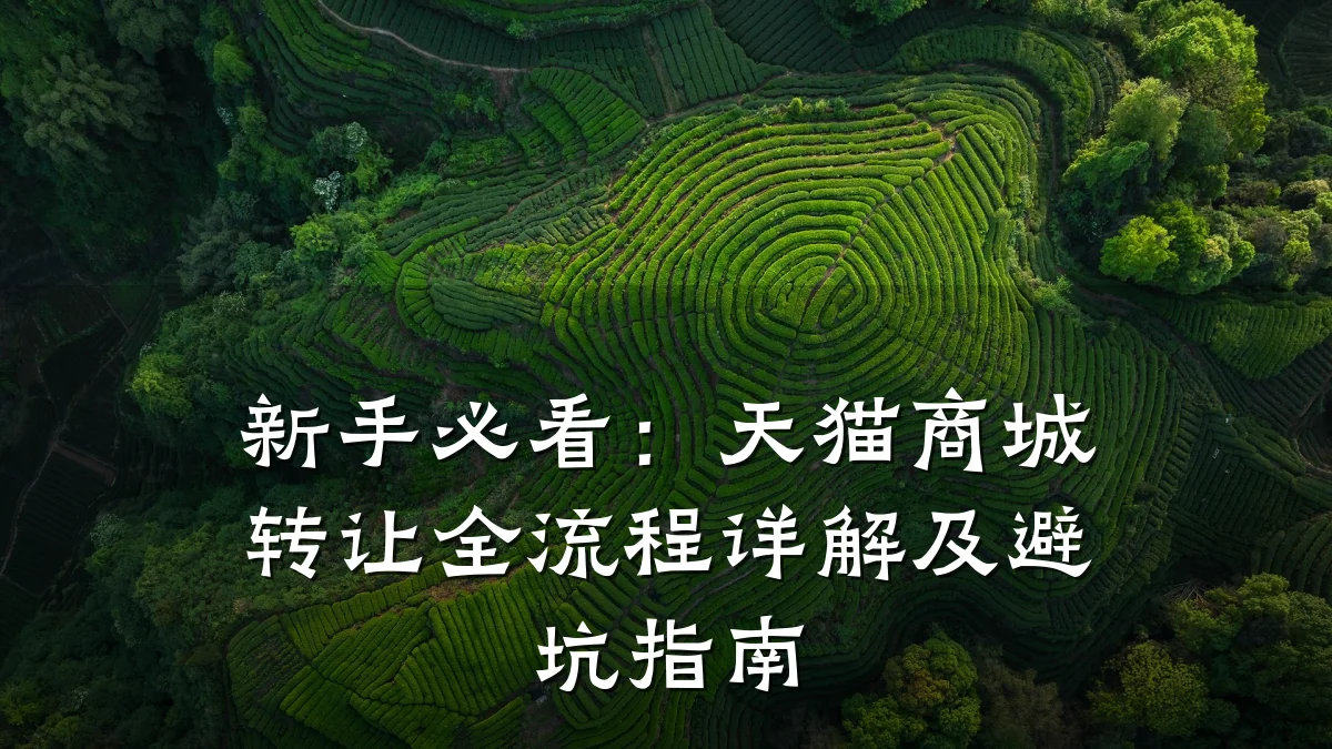 新手必看：天猫商城转让全流程详解及避坑指南