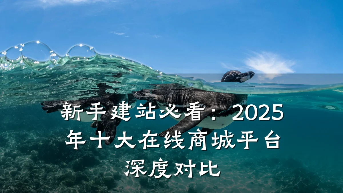 新手建站必看：2025年十大在线商城平台深度对比