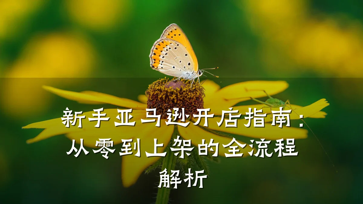 新手亚马逊开店指南:从零到上架的全流程解析