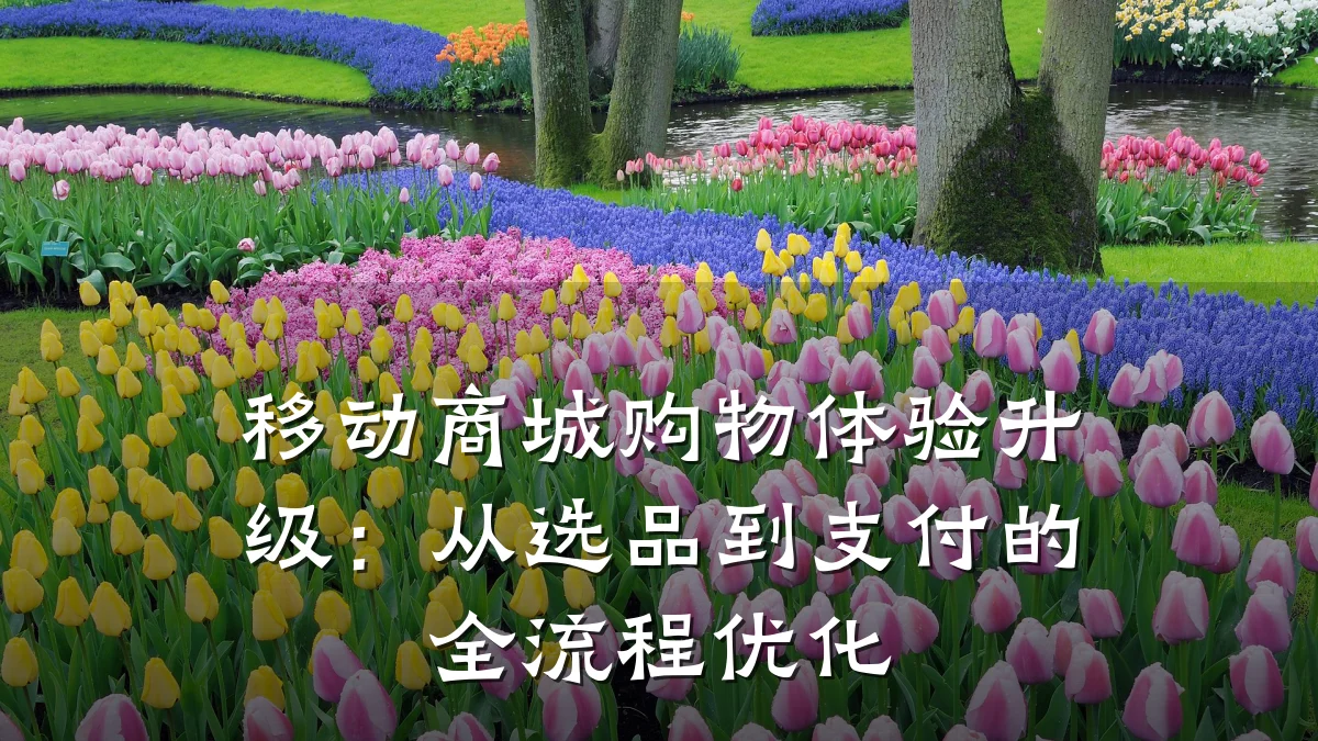 移动商城购物体验升级：从选品到支付的全流程优化
