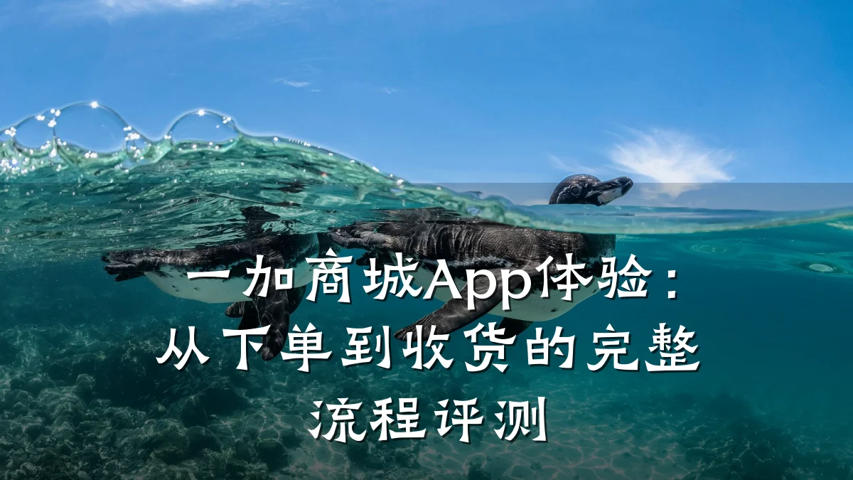 一加商城App体验:从下单到收货的完整流程评测