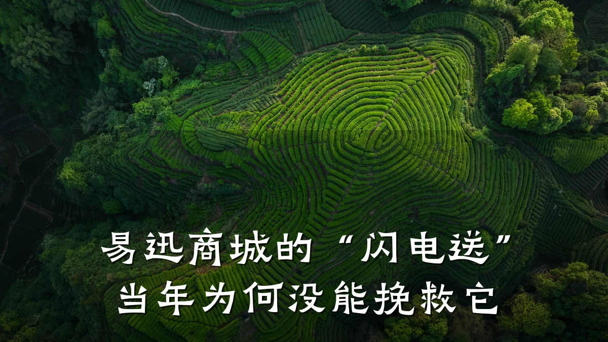 易迅商城的“闪电送”当年为何没能挽救它