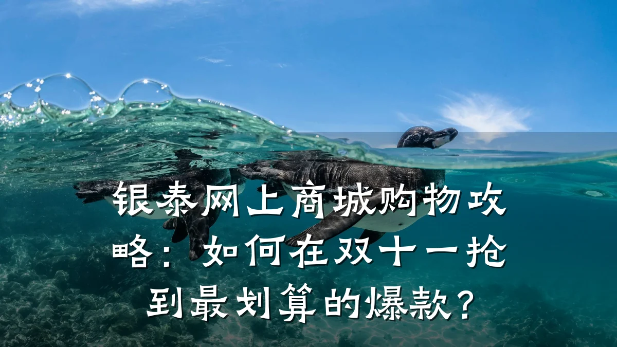 银泰网上商城购物攻略:如何在双十一抢到最划算的爆款?
