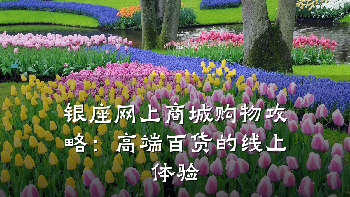 银座网上商城购物攻略:高端百货的线上体验