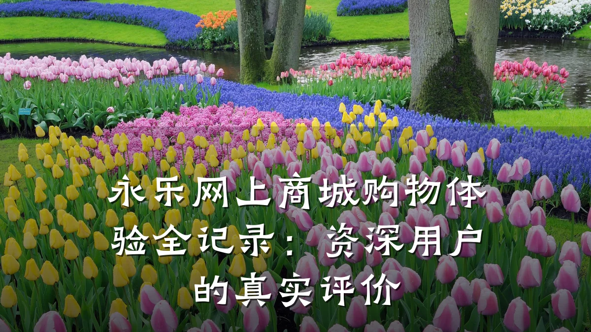 永乐网上商城购物体验全记录:资深用户的真实评价