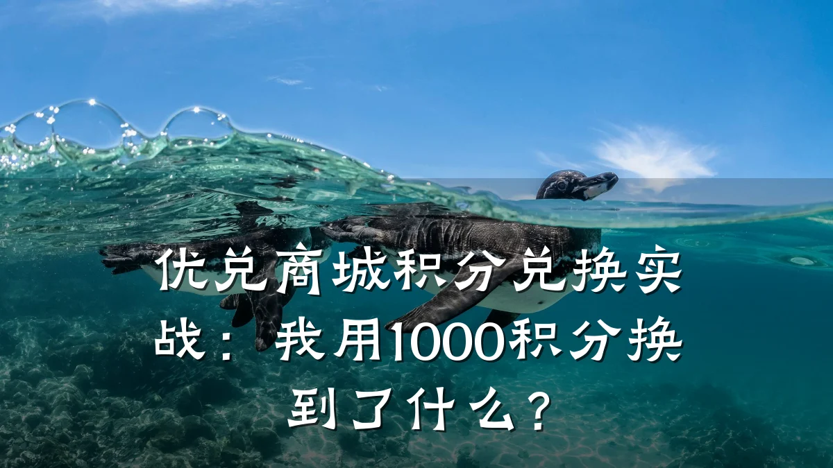 优兑商城积分兑换实战:我用1000积分换到了什么?