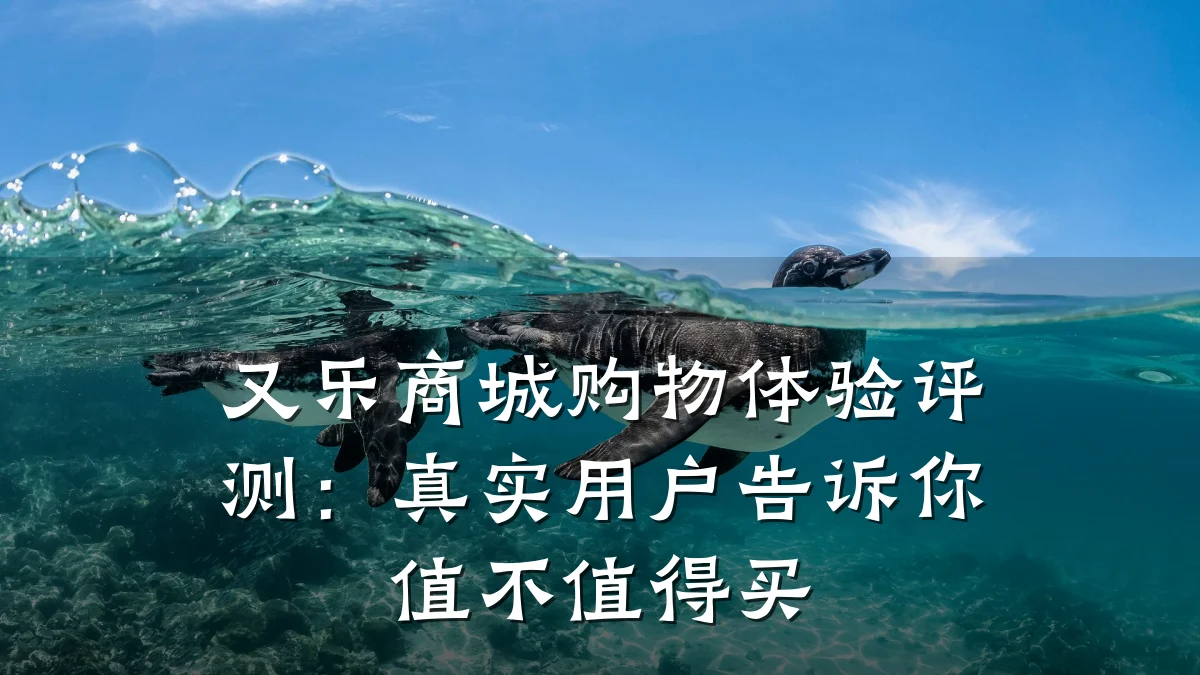 又乐商城购物体验评测:真实用户告诉你值不值得买
