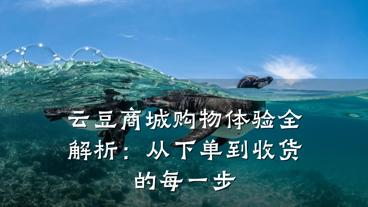 云豆商城购物体验全解析:从下单到收货的每一步